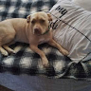 Meet your Posher, Melissa n john